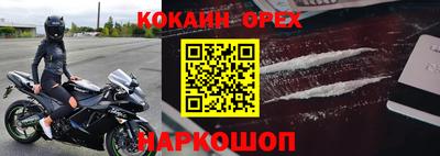 стаф Шелехов
