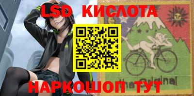 стаф Шелехов