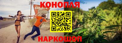 стаф Шелехов