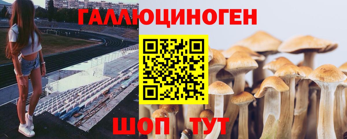 Галлюциногенные грибы MAGIC MUSHROOMS Красноуфимск