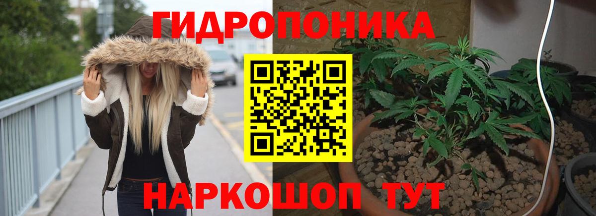 Конопля сатива  Каннабис VHQ  Бошки марихуана OG Kush  Бошки Шишки Ganja  Красноуфимск  Вход с VPN 
