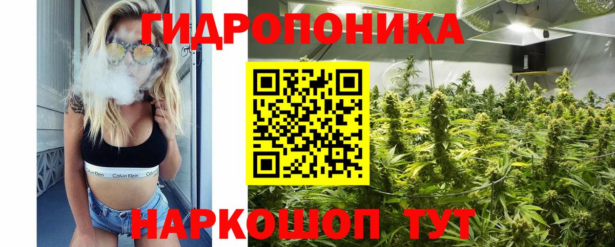 Марихуана OG Kush Красноуфимск